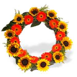 גלגל אבל צבעים חמים